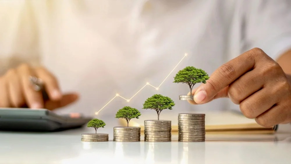 Introduction to dividend